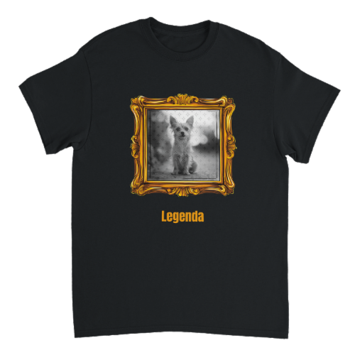 Tričko Legendární Rám s Personalizací
